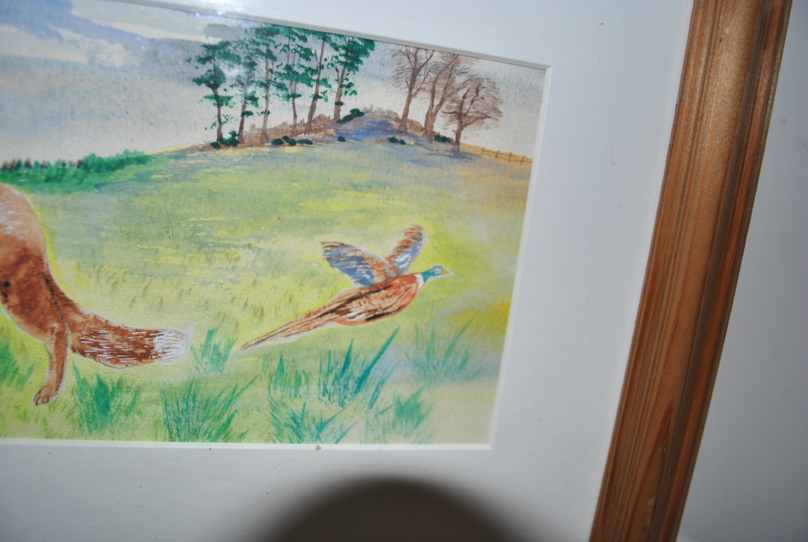 Bild 2 von 5