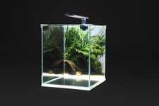 diversa NEOlight 30 plant - Aquarium Set 30x30x35cm Nanoaquarium