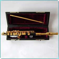 Brand New Piccolo C Key with ABS Tube Body and Gold Plating