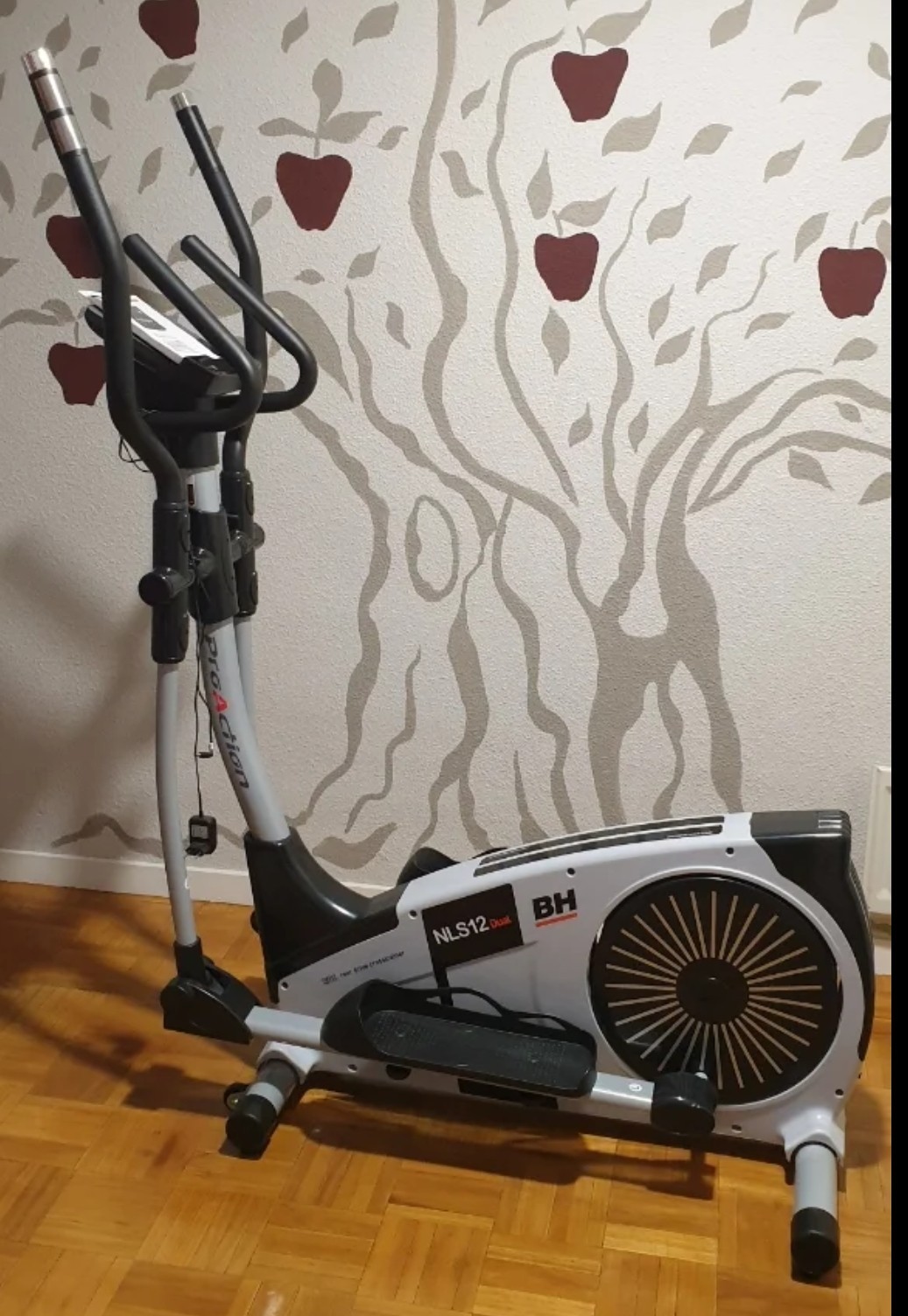 Bicicleta eliptica Bh