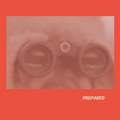 Summer Critics - Laura J Martin - Prepared CD  RELEASE DATE 17/05/24  - E3447z