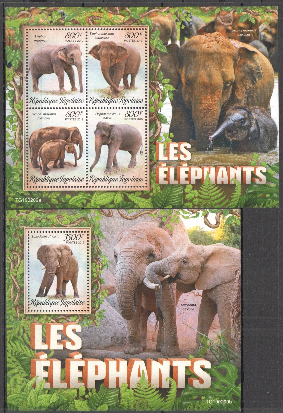 GS0072 2019 TOGO ELEPHANTS WILD ANIMALS FAUNA YVERT #6832-5+BL1541 MNH