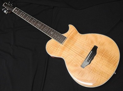 Elektrische Akustikgitarre Aria Elecord APE-100 N Thin-Body Side Soundhole