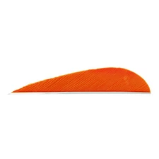 🎯 Trueflight Parabolic Feathers Orange 3 in. RW 100 pk.