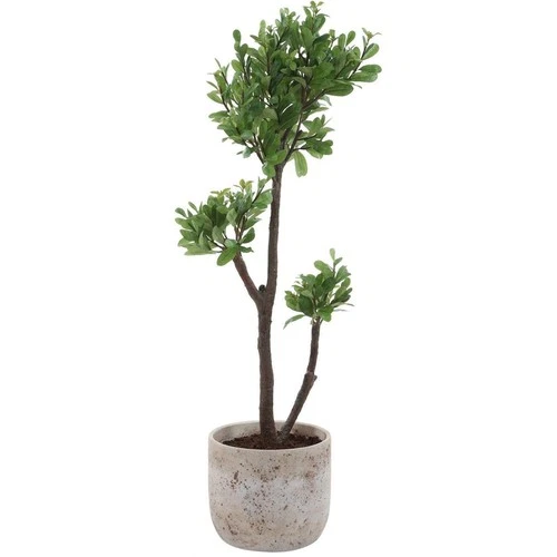 Uttermost 60266 Arbor Strawberry Aged Ivory and Green Tree - Picture 3 of 6