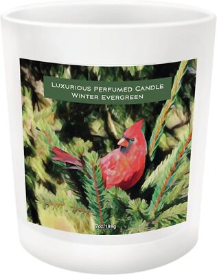 Enesco H2 Izzy Oliver Caring Cardinals Memory Evergreen Scent Candle 7oz 6010914