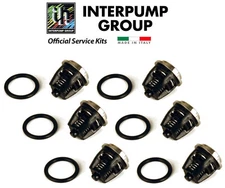 General Pump 8.900-438.0 Pump Check Valves Kit 1 K01 Interpump OEM made in Italy