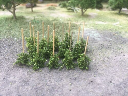 MP SCENERY 20 Runner Beans N Gauge Model Farm Plants Railroad & Farm Layout - Picture 3 of 5