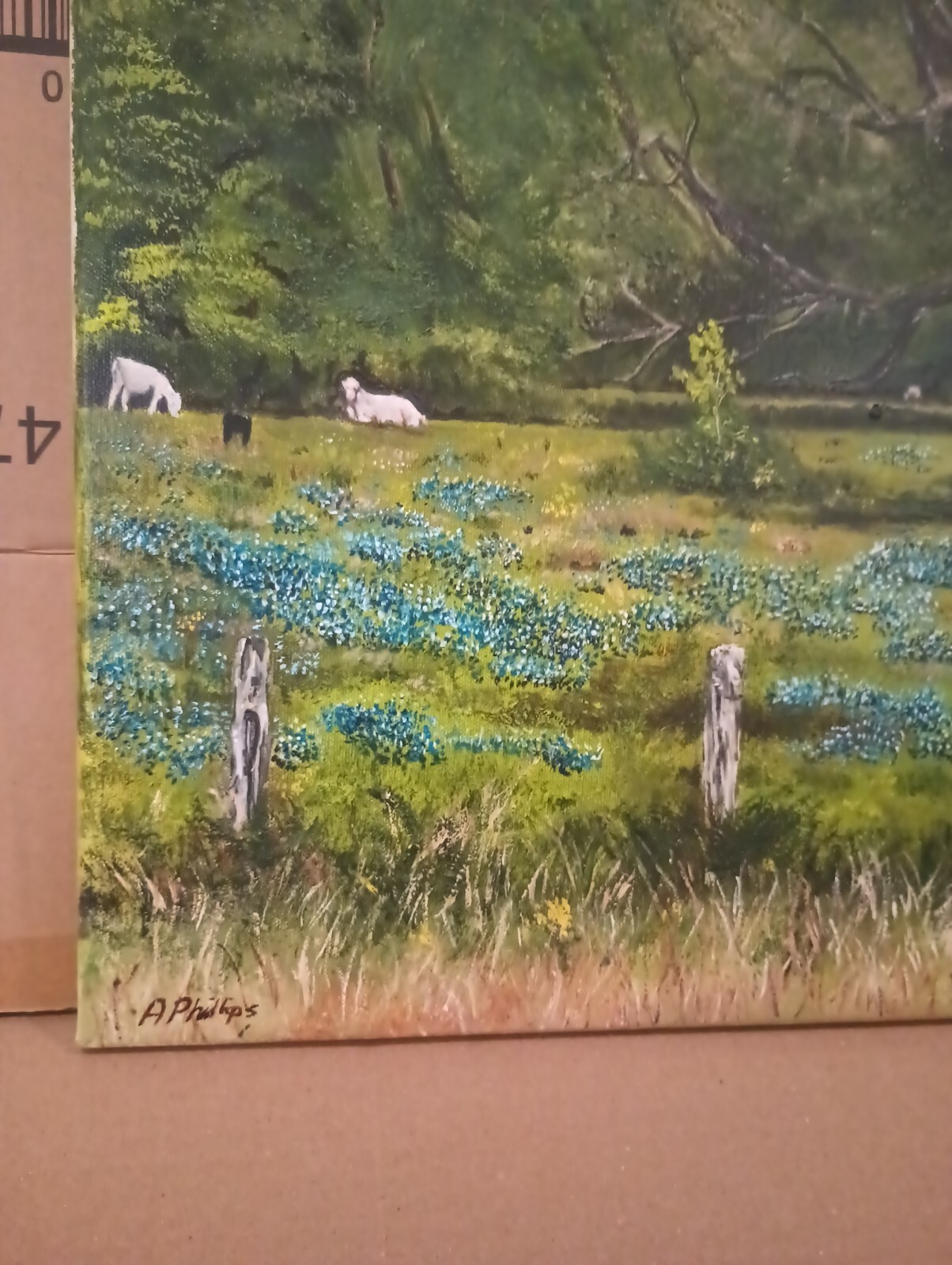 Picture 2 of 5