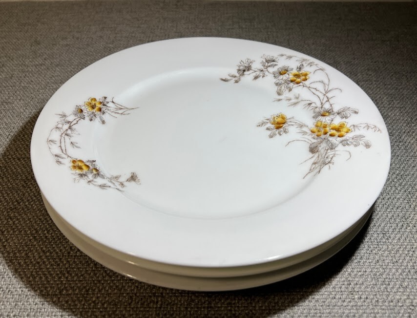 3 CH Field Haviland Limoges Plates 9.75