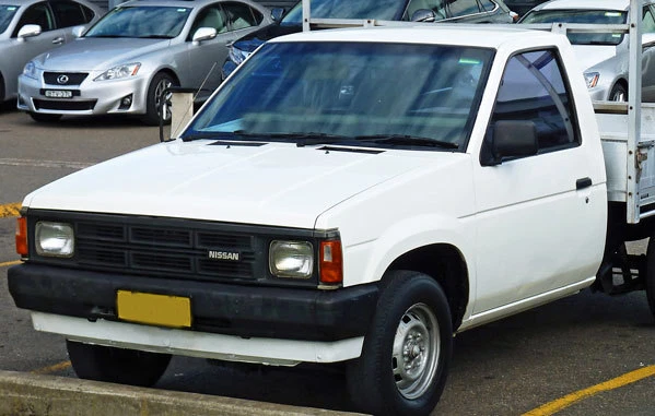 PARA NISSAN DATSUN Pathfinder carrocería dura D21 PUERTA DE RECOGIDA RESISTENTE AL CLIMA SELLO DE GOMA Foto 3 de 4