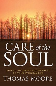 Care of the Soul: How to Add Depth and Meaning to Your E... | Buch | Zustand gut