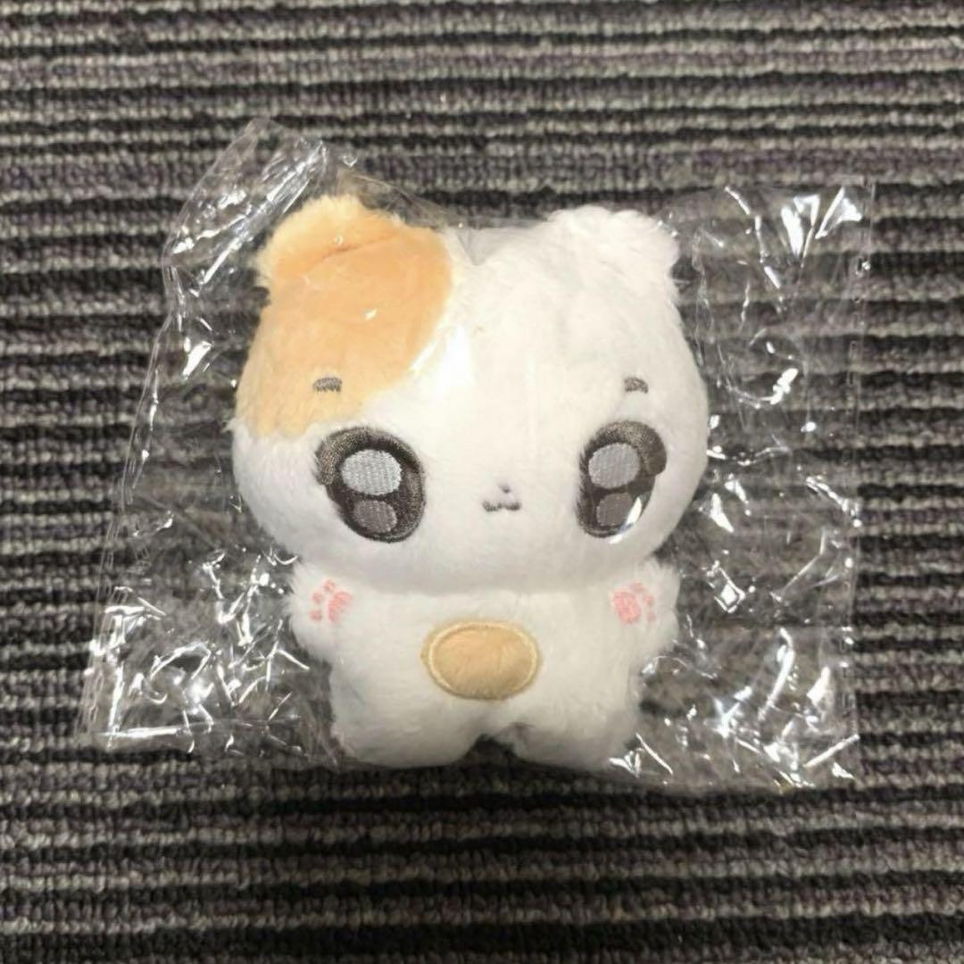 Muñeco de peluche ENHYPEN Heeseung 10 cm nuevo maestro