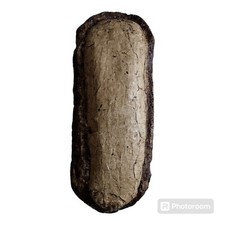 Fósil de huevo fundido Tarbosaurus (tiranosaurio de Asia)...
