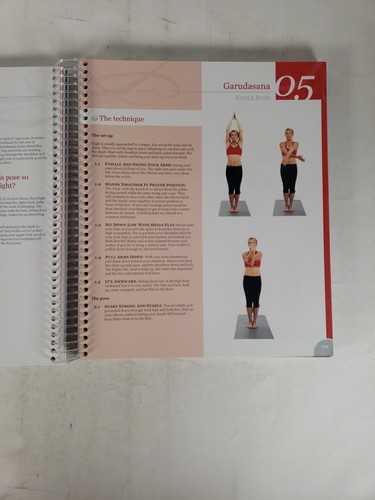 Hot Yoga Master Class by Gabrielle Raiz (Laminated Guides, Quick Start) Spiral - Picture 13 of 15