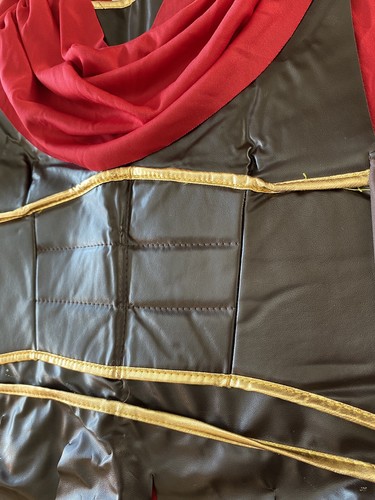 Gladiator Costume Tunic Boys Child Size Large California Costume Collections - Picture 3 of 10