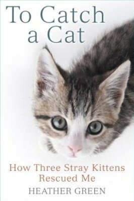 To Catch a Cat: How Three Stray Kittens Rescued Me by Heather Green: New