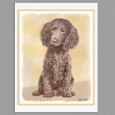 American Water Spaniel Blank Art Note Greeting Cards