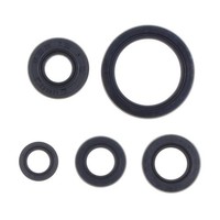 Serie Parolio Motor Yamaha YZ 250 F 19-25 FüR Yamaha Fx 2020-2026 4T