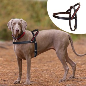 leather working dog harness