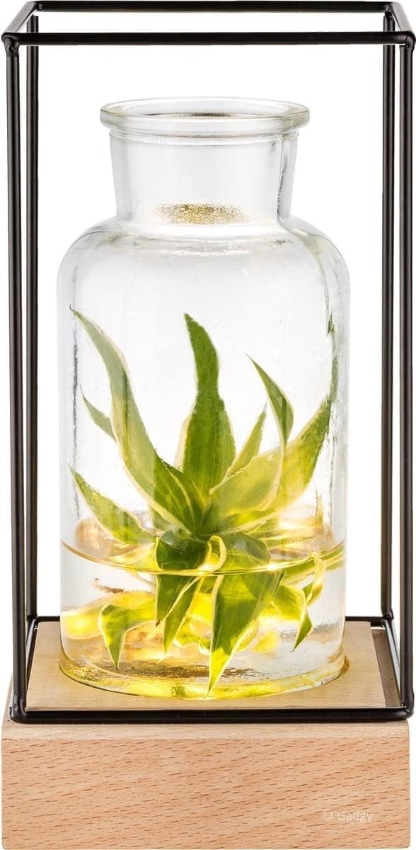 Vase en verre LED avec socle en bois de chêne pour illuminer vos bouquets de fleurs séchées