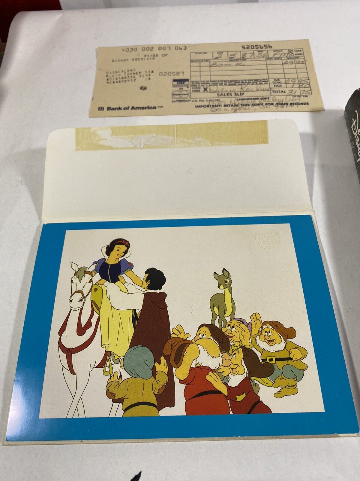 Foto 5 di 10
