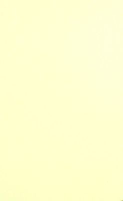 Pickguard Rohmaterial ML-Factory  45 x 29cm, 3-lagig / 3-ply Creme