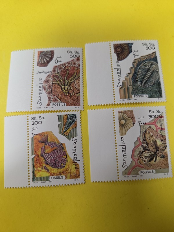 Somalia MNH Michel 628-31 Fossils Value 12 Euro