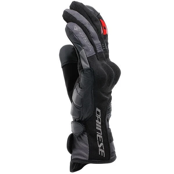 Dainese Teyde Gore-Tex 97L Black Grey Red, photo 4 of 5