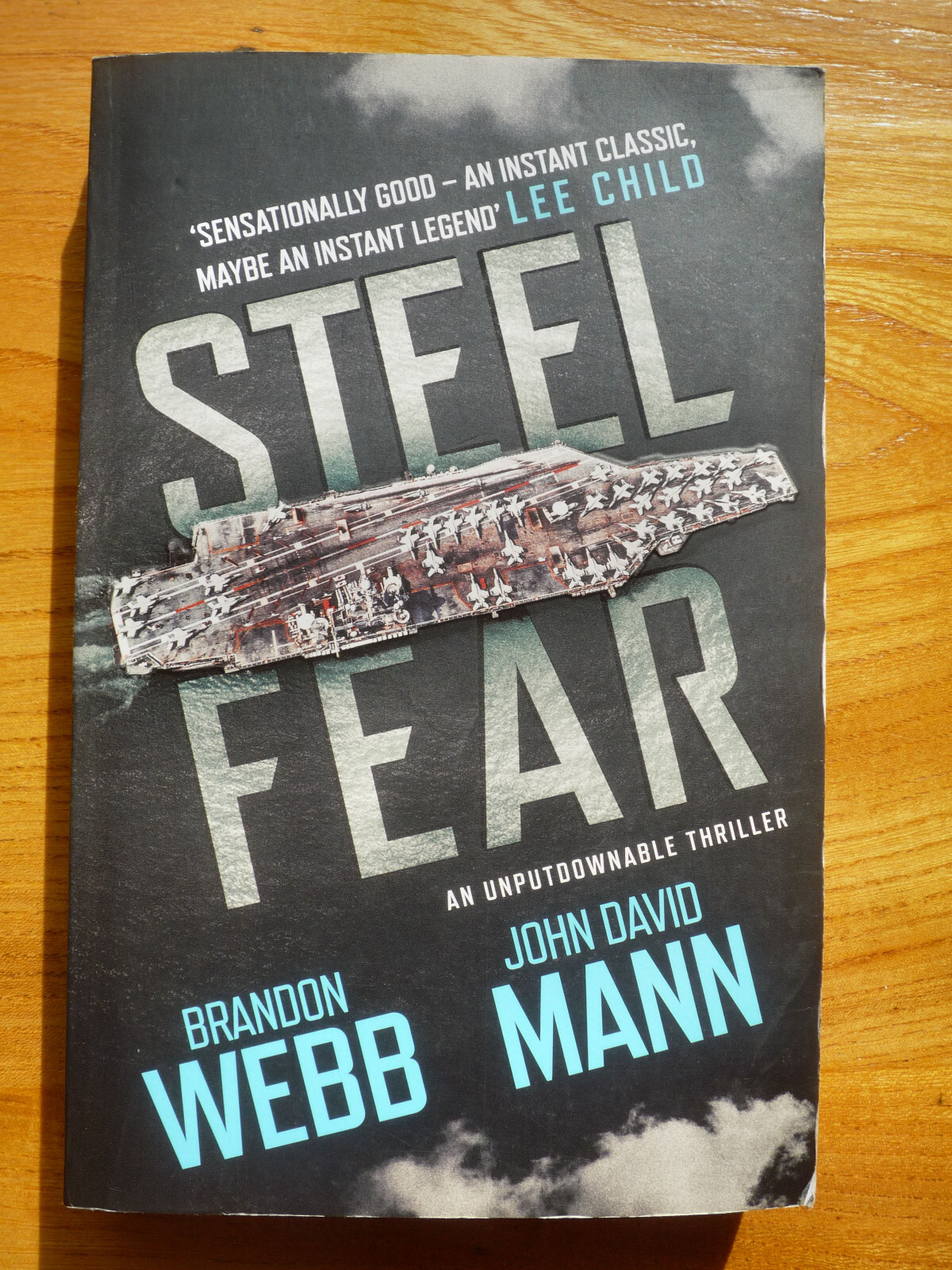 Steel Fear: (The Finn Thrillers) by Brandon Webb & John Mann, Used - Very Good