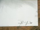 Picture 4 of 4