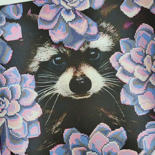 Raccoon Bead Embroidery Scheme on Canvas DIY Stamped Printed Pattern ta-445 - Picture 13 of 17