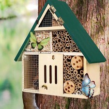 Abeille pollinisatrice de sciure de bois pour abri d'hôtel pour jardin et