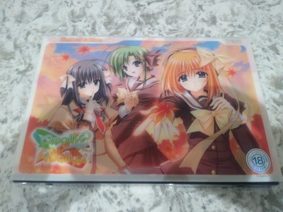 Wirklich? Wirklich! | Limited Edition | Japanisches PC Spiel | Visual Novel | PC