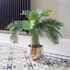 Foto 5 di 5
