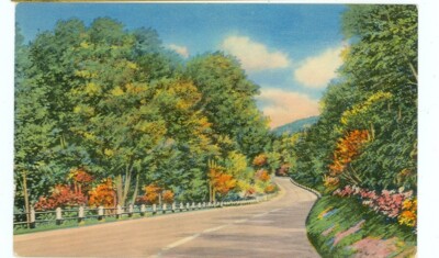 ALTA VISTA,KANSAS-GREETINGS-SCENERY-(KS-AMISC)