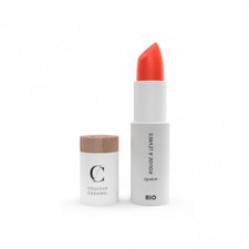 Couleur Caramel de Rouge à Lèvres 501 Mandarine Neuf BIO