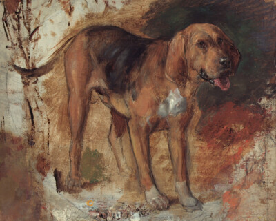 Study of a Bloodhound 1848 by William Holman Hunt Giclee Print Ships Free