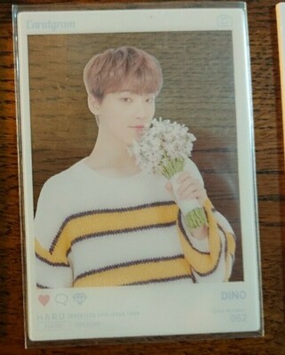 SEVENTEEN DINO -HARU JAPAN Tour- Official Limited goods