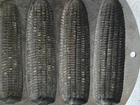 Vintage Lodge Cast Iron 527C2 USA 5-Stick Corn Cob Cornbread Muffin Pan