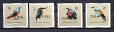 Poland 1960 old high value Birds/Eagle/Vogel stamps (Michel 1205/08) MNH