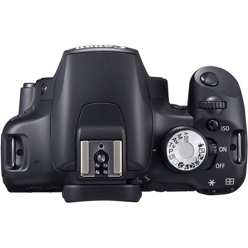 Buy Canon EOS Rebel T1i / EOS 500D 15.1MP Digital SLR Camera