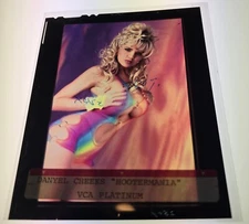 DANYEL CHEEKS- ORIGINAL 4" X 5" GALLERY TRANSPARENCY