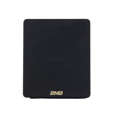 New!!! CSW-110A 500W 10  Active Subwoofer System
