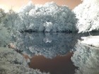 Bild 9 von 18