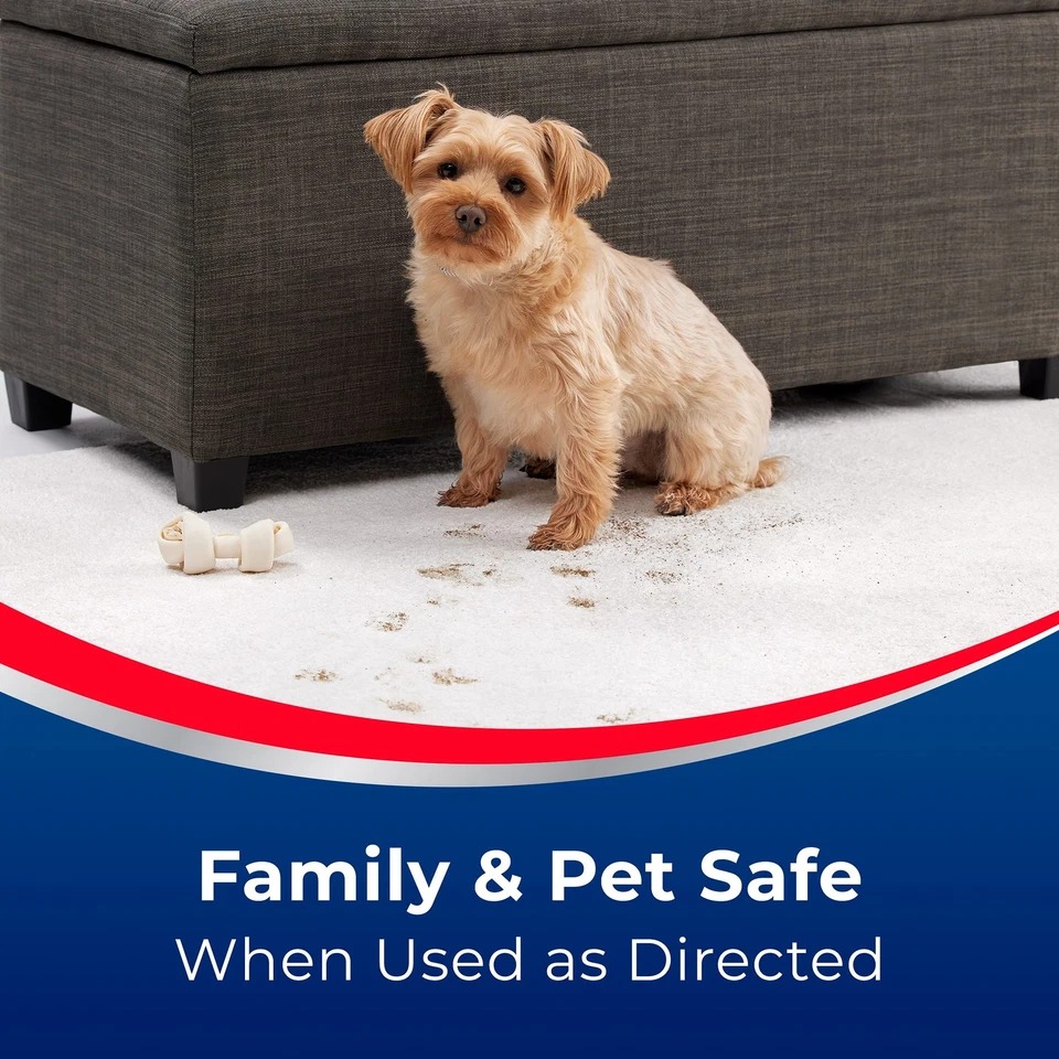 Woolite Advantage Instaclean, 44,0 fl oz, paquete de 2 Foto 2 de 4