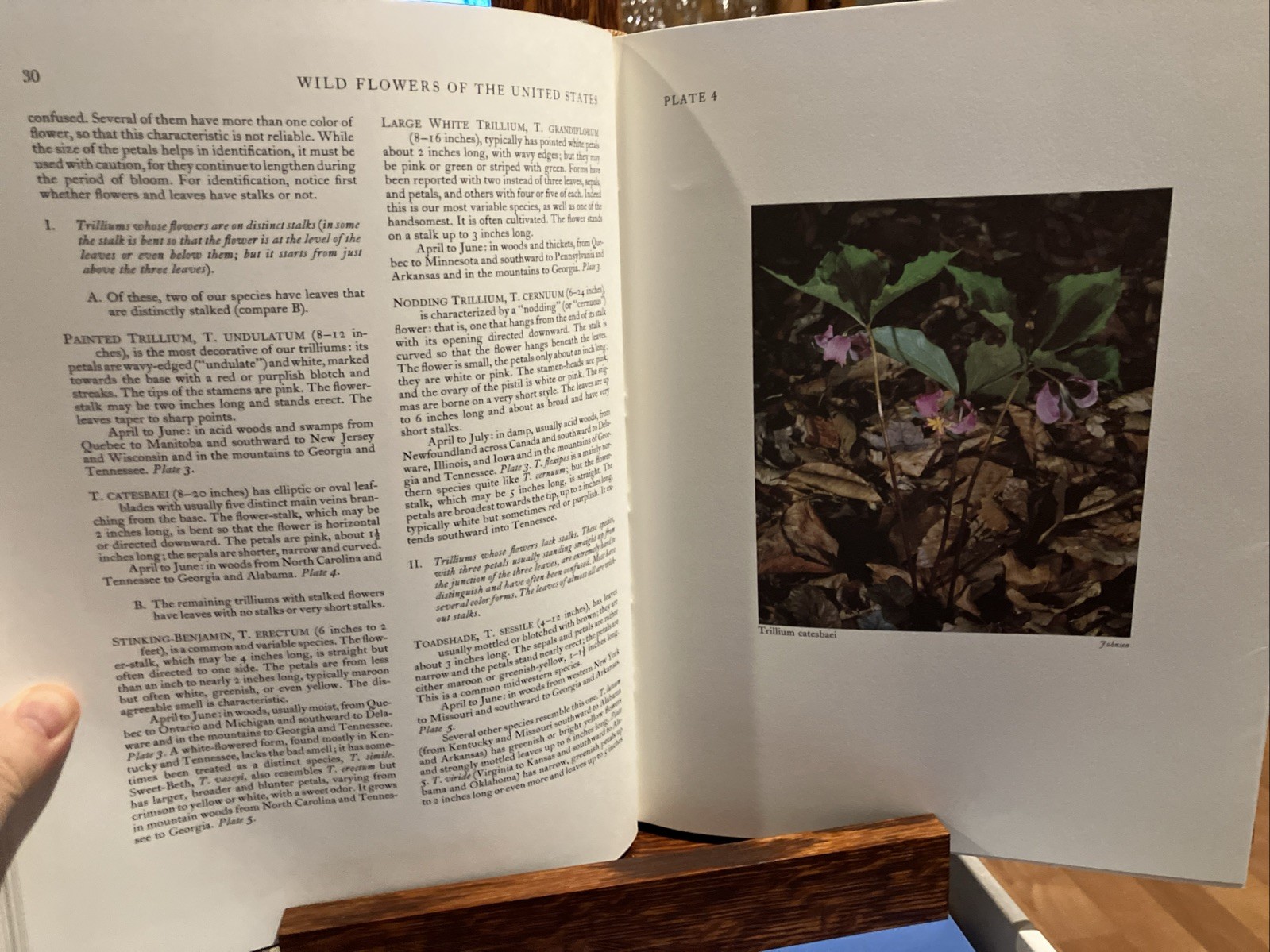 Wildflowers of The United States The Southeastern States 1st Edition 2 Volumes