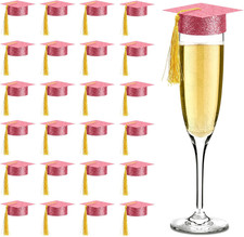 60 Pcs 2026 Mini Graduation Cap with Tassels Small Grad Hat Drink Topper Decorat