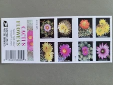 20 FOREVER FIRST CLASS LETTER STAMPS CACTUS FLOWERS STAMPS MNH 2019 BOOK PANE