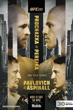 UFC 295 Prochazka Vs. Pereira 12x18 Fight Poster Reprint